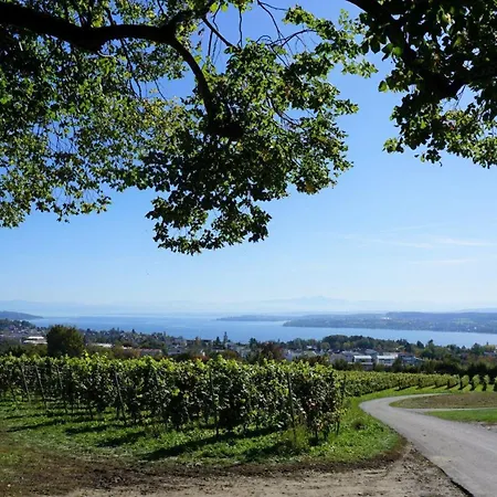 Spetzgart Holiday home *