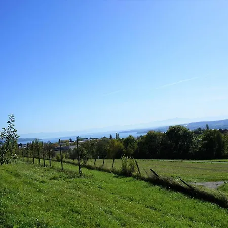 Holiday home Spetzgart *