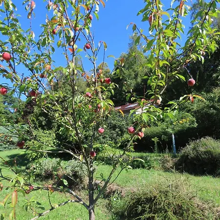 Spetzgart Holiday home