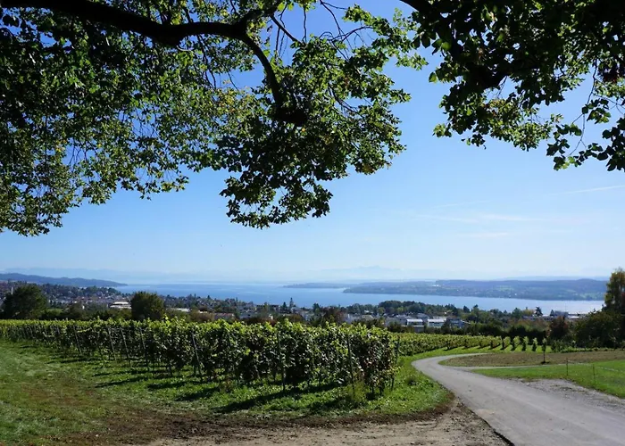 Spetzgart Дом отдыха *