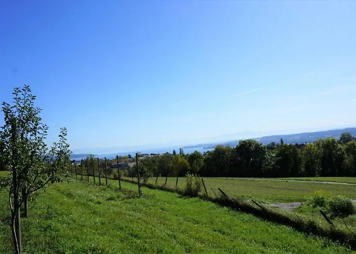 Дом отдыха Spetzgart *