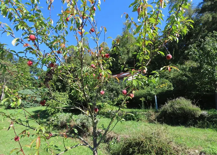 Spetzgart Дом отдыха